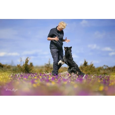 189350331_140286011473687_2262386583445497919_n