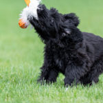 Komma igång med leken