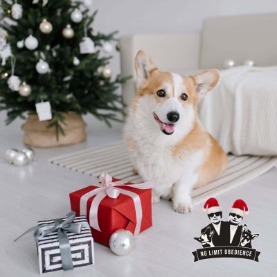 presentkort_jul