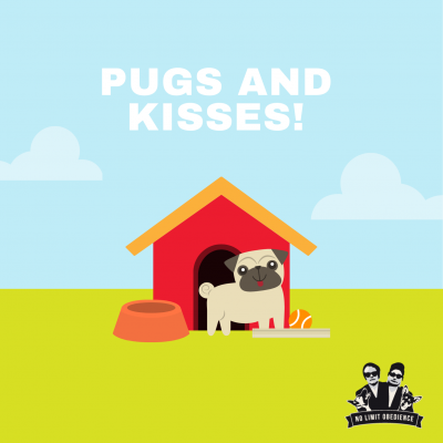 presentkort_pug